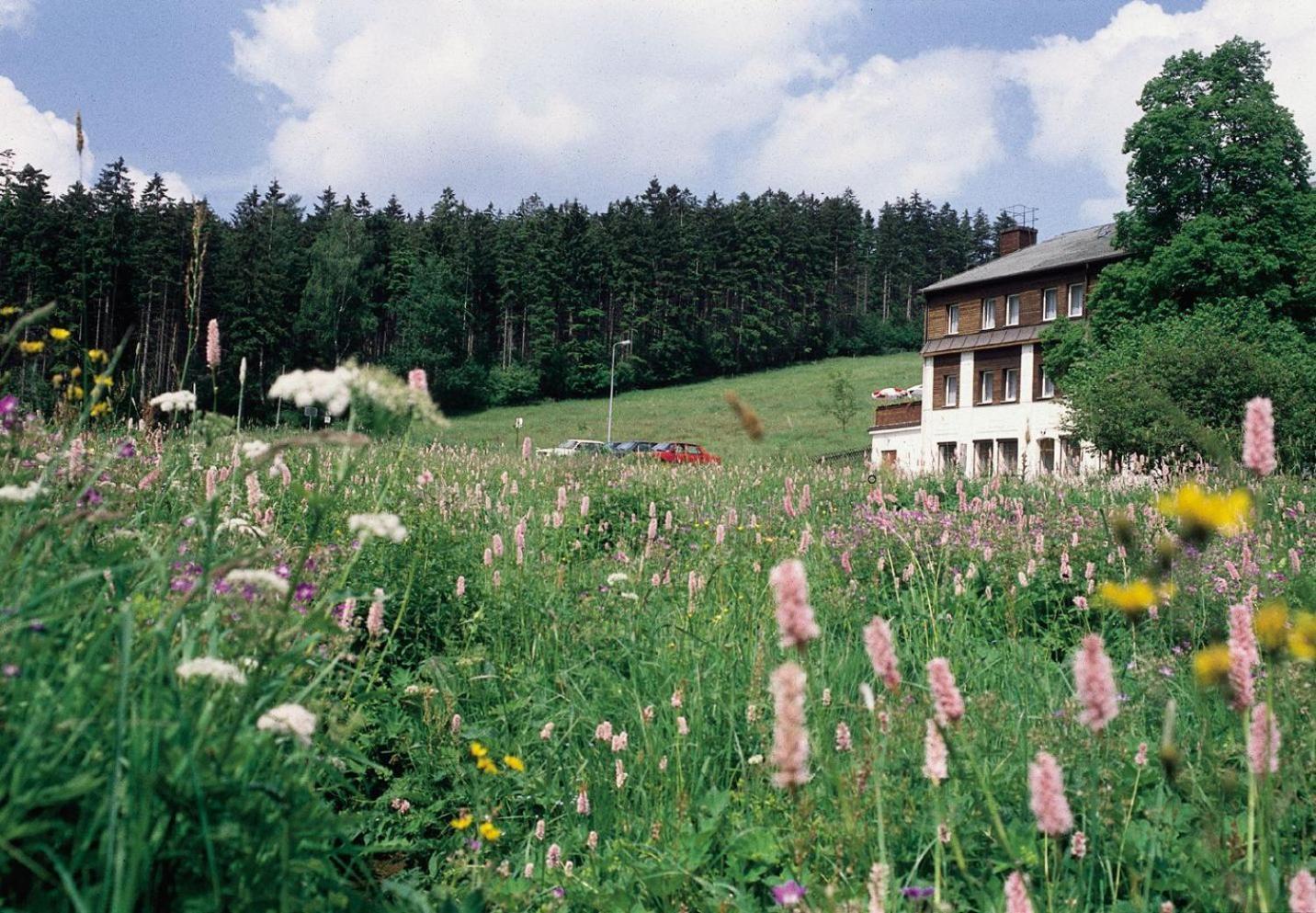 Landhaus Bergidyll Bärenstein Exterior foto